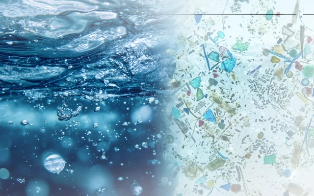 Water Quality and Health